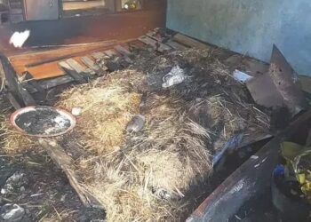 Conakry : le contenu de la maison du journaliste Alseny Diallo ravagé par un incendie