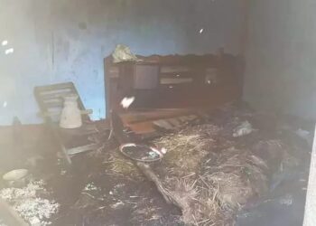 Conakry : le contenu de la maison du journaliste Alseny Diallo ravagé par un incendie