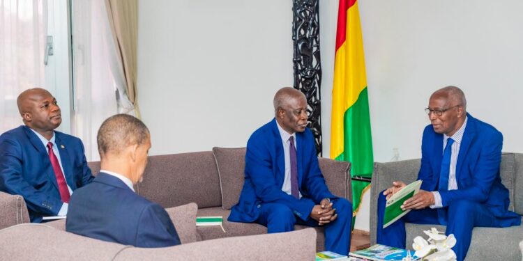 Guinée : une délégation de la CEDEAO reçu par le premier ministre 