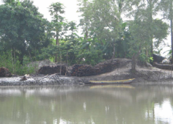 Protection de l’écosystème marin et côtier : les autorités guinéennes multiplient les actions contre les menaces