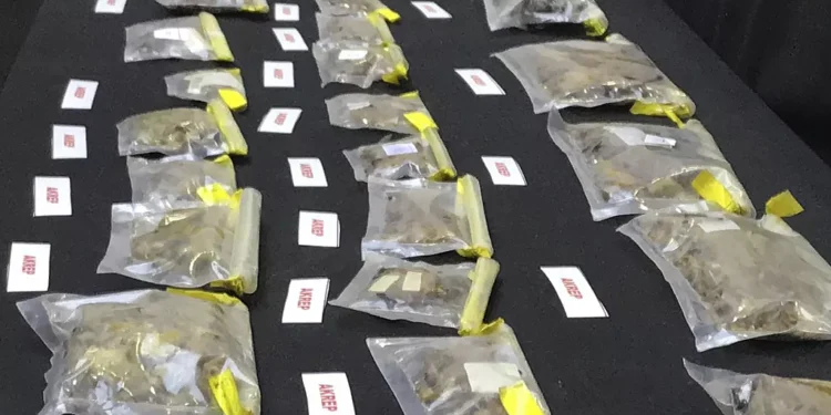 Istanbul : un homme arrêté à l’aéroport avec 1500 scorpions et araignées dans ses bagages 