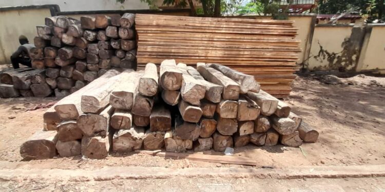 Guinée/ Kindia : Vaste opération de la BAC Environnementale sur le trafic transnational de bois