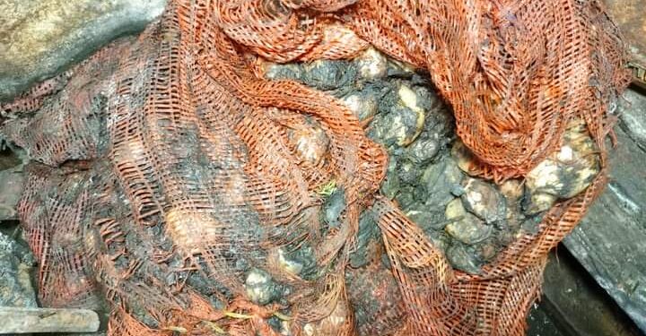 Conakry : un citoyen pris en train de vendre des oignons pourris au marché Gbessia