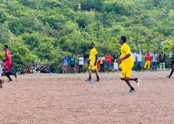 “Donkin On Ko Satina » : une célébration réussie pour l’unité et du développement de Satina