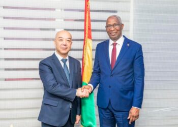 Guinée vers la mise en place d’une unité de production d’électricité d’une capacité de 1800 MW