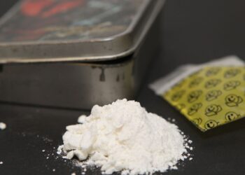 Conakry : une importante quantité de cocaïne saisie sur un étranger