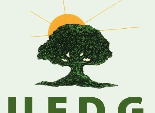 Réintégration de Ousmane Gaoual au sein de l’UFDG : « si cette décision, était authentique, surprendrait le Parti » dixit la cellule com