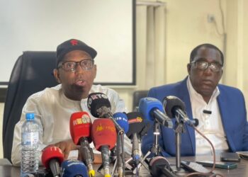Guinée : Michel Dussier nommé sélectionneur du Syli national 