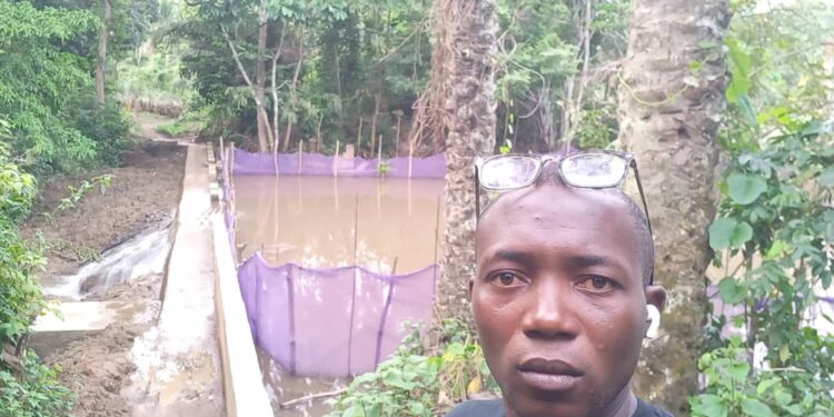 Loupe-portrait : à la rencontre de Tamba Tolno concepteur du mini barrage de Firadou