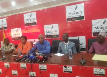 « Les présidents n’ont pas réussi encore à mettre la Guinée sur les rails. » Le Haut Conseil des Guinéens établis à l’étranger