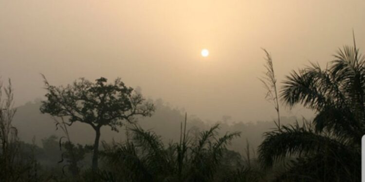 L’Harmattan : Un vent qui affecte la Santé des Habitants de Conakry