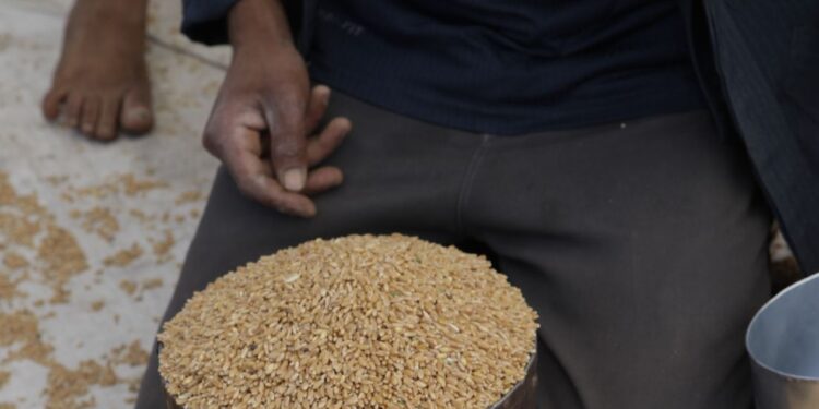 “Zakat al-Fitr : Une Aumône pour Purifier son Jeûne et Partager la Joie de l’Aïd”