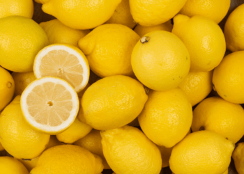 Le Citron : « Talisman de Protection et Héritage Spirituel en Guinée »