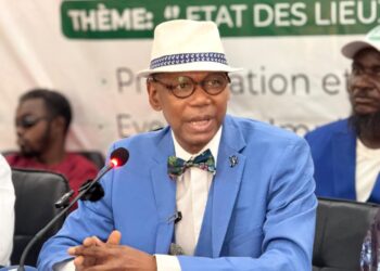 Professeur Lamarana Petty Diallo : « Quand des responsables d’un parti politique soutiennent la violence et comparent l’Axe à Soweto… »