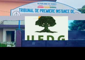 L’UFDG dénonce une nouvelle attaque contre la démocratie en Guinée