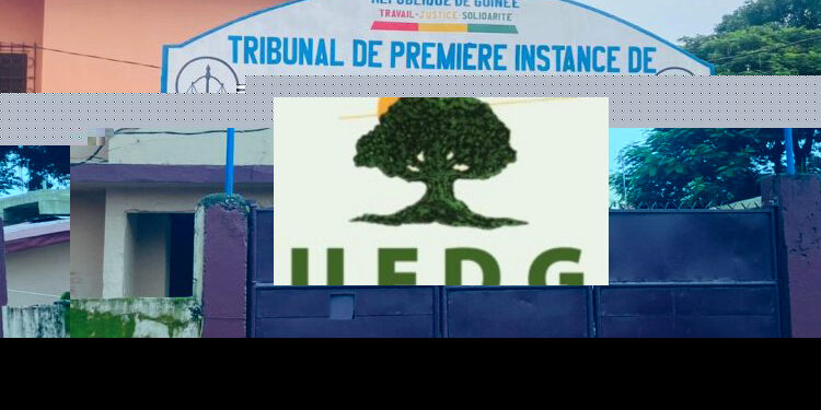 L’UFDG dénonce une nouvelle attaque contre la démocratie en Guinée