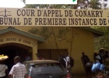 Meurtre d’un Adolescente à Coyah : Ibrahima Diawara, Tradithérapeute, Face à la Justice