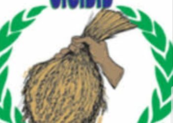 L’UGDD dénonce une tentative de manipulation politique ( communiqué )