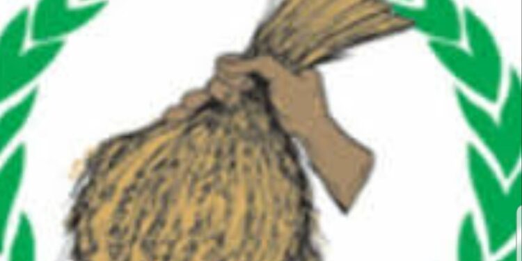 L’UGDD dénonce une tentative de manipulation politique ( communiqué )