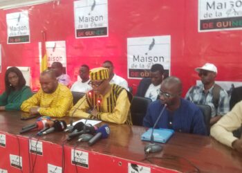 Tempête à l’UFDG : Le Professeur Lamarana Petty Diallo dénonce une dérive autoritaire et appelle à une réforme en profondeur