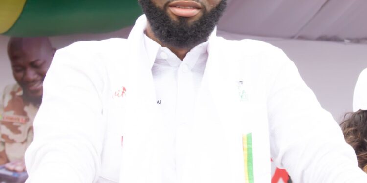 Mobilisation à Mamou : Mamadou Djouldé Bah se réjouit et dément l’incident des abeilles