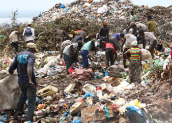 « Conakry recycle ses déchets en riz : l’illusion d’un progrès durable »