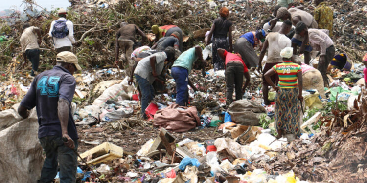 « Conakry recycle ses déchets en riz : l’illusion d’un progrès durable »