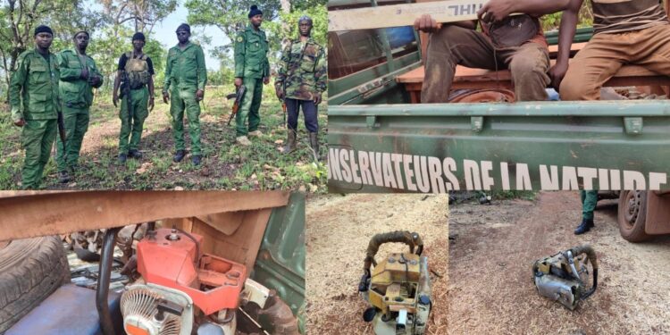 Koubia : Des machines tronçonneuses saisies par la Brigade nationale dans la lutte contre la criminalité environnementale !