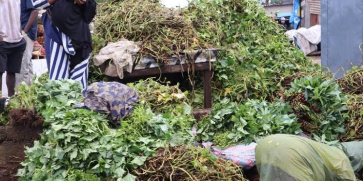 Feuilles de manioc à la sauce caniveau : KM36, marché de la honte