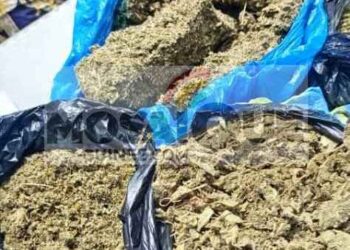 Kush à Dixinn : « Je voulais juste nourrir mes enfants », confesse une mère arrêtée pour trafic de drogue