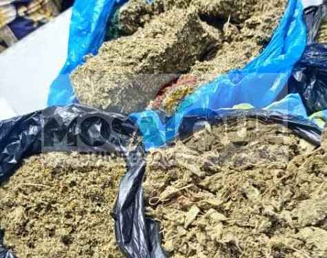 Kush à Dixinn : « Je voulais juste nourrir mes enfants », confesse une mère arrêtée pour trafic de drogue