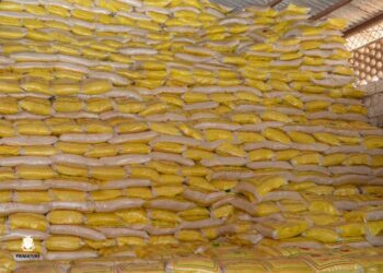 Accord Historique en Guinée : Des Prix Alimentaires Sous Surveillance