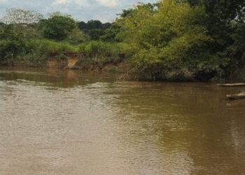 Trois frères, une traversée, un drame : le fleuve Niandan garde le silence