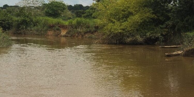 Trois frères, une traversée, un drame : le fleuve Niandan garde le silence