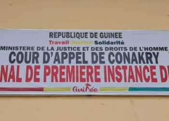 Guinée : Une élève assassinée à Sangarédi, un suspect mineur interpellé