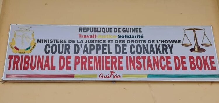 Guinée : Une élève assassinée à Sangarédi, un suspect mineur interpellé