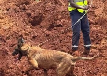 Tragédie de Manéah : Cellou Dalein Diallo et Sidya Touré interpellent l’État guinéen après un glissement de terrain meurtrier