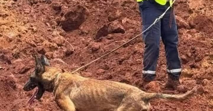 Tragédie de Manéah : Cellou Dalein Diallo et Sidya Touré interpellent l’État guinéen après un glissement de terrain meurtrier