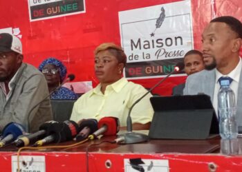 Guinée : Le Mouvement Esprit Patriote mobilise la diaspora pour soutenir le référendum constitutionnel de 2025