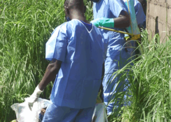 Guinée : un jeune homme retrouvé égorgé à Kankan