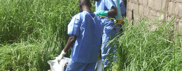 Guinée : un jeune homme retrouvé égorgé à Kankan