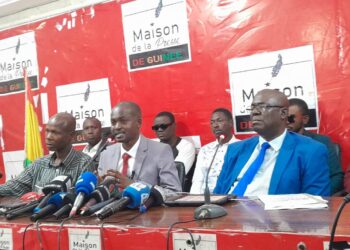 Projet de nouvelle constitution : le Bloc Libéral de Dr Faya Millimouno appelle à voter Non