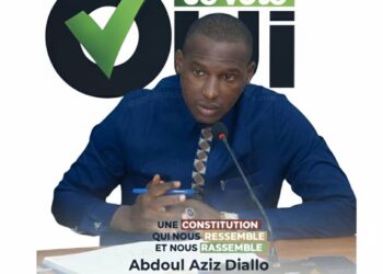 Un engagement pour Tougué et pour la Guinée (par Abdoul Aziz Diallo DNVU)