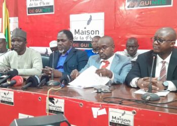 Guinée : l’AFDD et l’Union Sacrée appellent au report de la présidentielle prévue en décembre