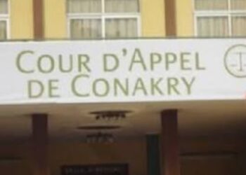 Guinée : des influenceuses interpellées après des propos jugés injurieux et des soupçons d’infractions financières