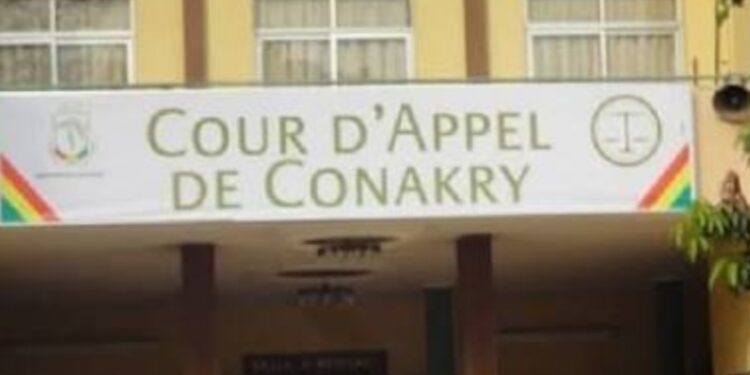 Guinée : des influenceuses interpellées après des propos jugés injurieux et des soupçons d’infractions financières