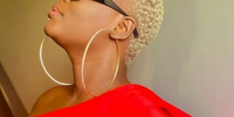 Mariama Bah( Yama Sega) face à la justice : aveux et regrets dans une affaire de diffamation