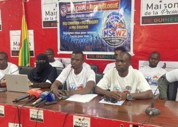 En Guinée, les exploitants de Wifi Zone plaident pour la légalisation de leur activité