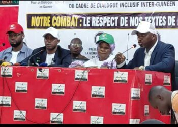Guinée : création d’un collectif pour la sauvegarde des acquis institutionnels du Dialogue inclusif