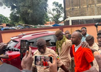 TPI-Dixinn : Abdourahmane Bella Bah condamné à six mois de prison, dont cinq avec sursis